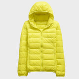 Beatriz - Pavasario-rudens švarkas