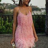 Samba | Elegancija Judesyje